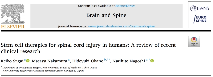 干細胞治療 干細胞治療
