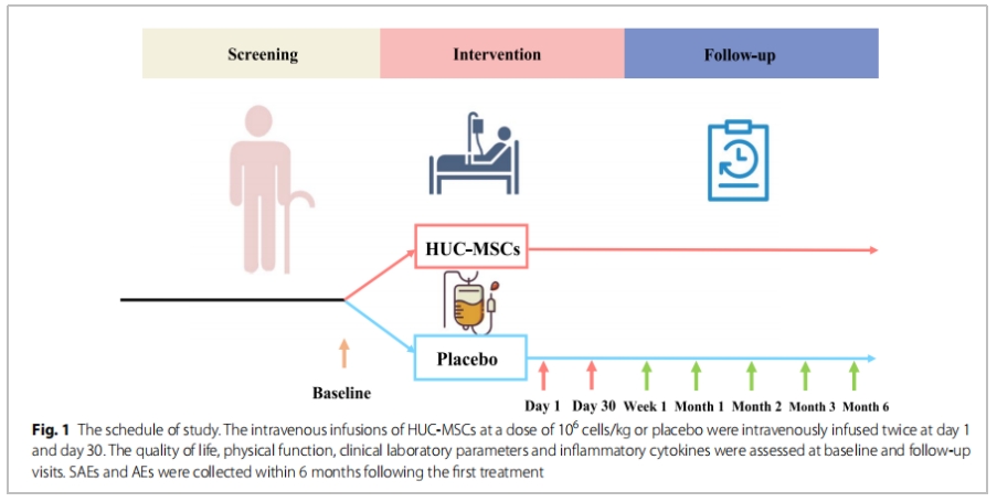 干細(xì)胞治療 干細(xì)胞治療