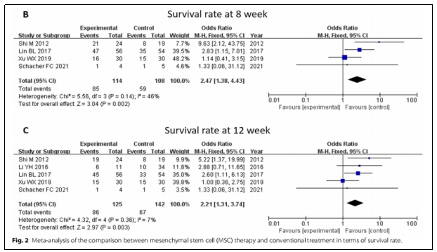 干細胞治療 干細胞治療
