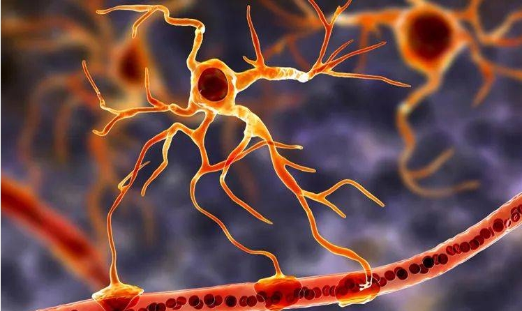 細(xì)胞治療 細(xì)胞治療