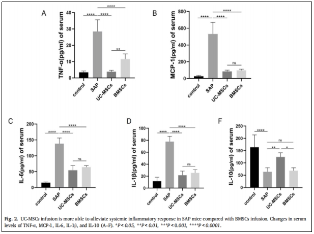 圖2:與BMSCS相比,UC-MSCs的輸注更能緩解SAP小鼠的系統性炎癥反應。 圖2:與BMSCS相比,UC-MSCs的輸注更能緩解SAP小鼠的系統性炎癥反應。