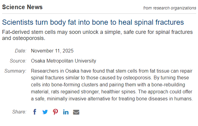 科學(xué)家將人體脂肪轉(zhuǎn)化為骨骼,用于修復(fù)脊柱骨折 科學(xué)家將人體脂肪轉(zhuǎn)化為骨骼,用于修復(fù)脊柱骨折