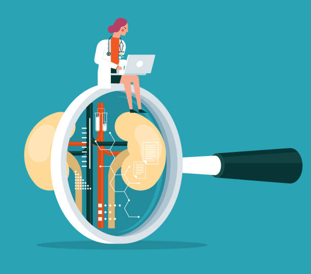 透析、腎移植還是干細胞治療?3種慢性腎病治療方法的全面比較與選擇指南 透析、腎移植還是干細胞治療?3種慢性腎病治療方法的全面比較與選擇指南